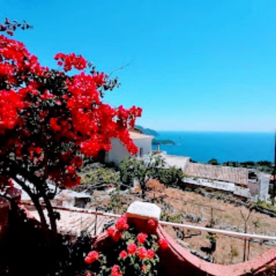 Traditional Panoramic Sea View House Lakones Экстерьер фото